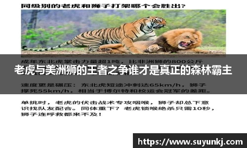 老虎与美洲狮的王者之争谁才是真正的森林霸主